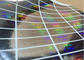 3D Ronde Hologramstickers/Anti Vervalste Sticker met het Runnen van Aantallen