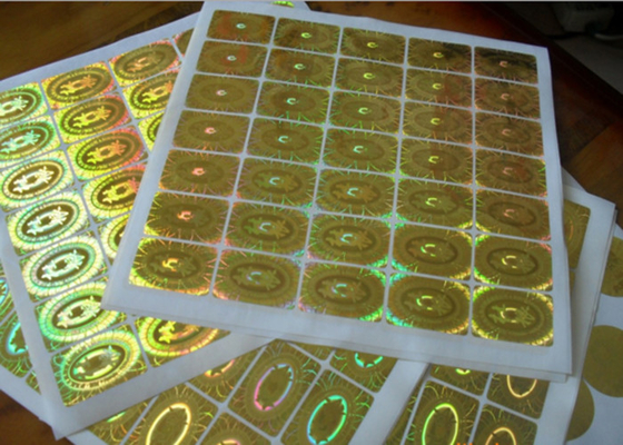 Ronde van de het Hologramsticker van de Cirkelveiligheid Permanente Zelfklevende Waterdicht