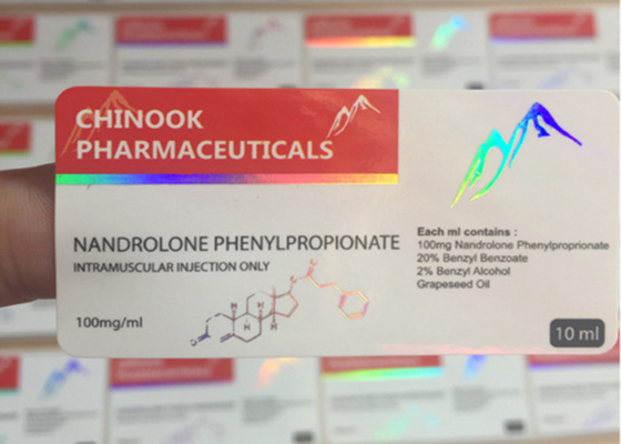 Document Holografische Douane Zelfklevende Stickers 6 X 3 Cm met Ronde Hoek